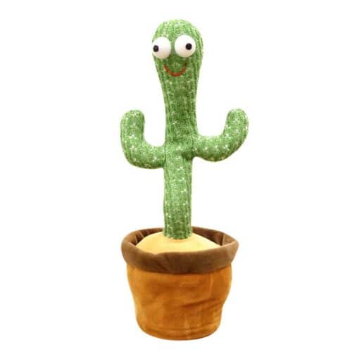 Dancing cactus funny