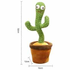 Dancing cactus size