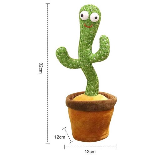 Dancing cactus size