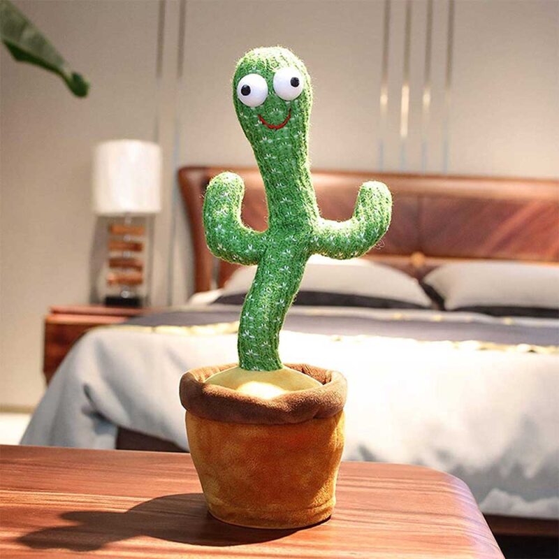 Dansende en zingende cactussen - Afbeelding 2