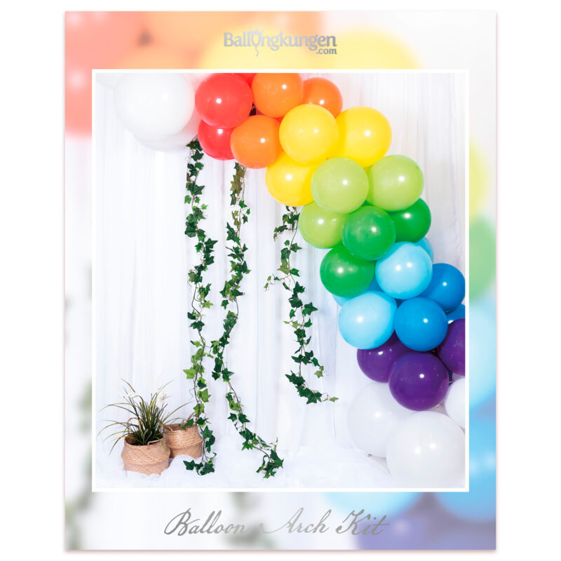 Ballongbåge Regnbåge