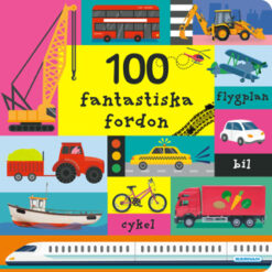 100 AMAZING VEHICLES